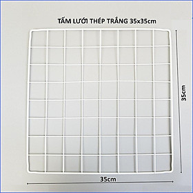 Mua Khung Lưới Treo Tường Decor  Kệ Để Chậu Hoa Cây Cảnh Kệ Sách  Chuồng Thú