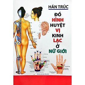 Đồ Hình Huyệt Vị Kinh Lạc Ở Nữ Giới (Tái Bản 2019) - Tặng Kèm Bookmark GIGA