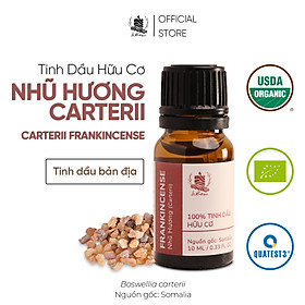 Tinh Dầu Nhũ Hương Carterii - 100% Nguyên Chất Hữu Cơ - Le Rustique - Tinh Dầu Bản Địa Somalia