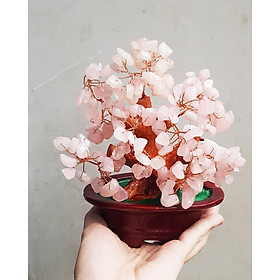 Mua Cây Tài Lộc bằng đá thạch anh thiên nhiên size 16cm - đá thạch anh hồng