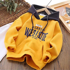 Áo nỉ hoodie cho bé trai bé gái từ 19