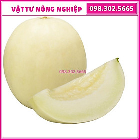 Gói 10 Hạt giống dưa lê F1 Nhật Bản cao sản siêu ngọt siêu trái
