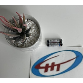 đầu thu kỹ thuật số DVB T2 MOBITV, Hàng Chính Hãng