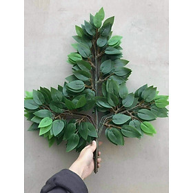 Mua Lá Xi Làm Cây Giả Trang Trí