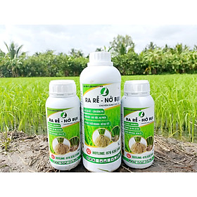 PHÂN BÓN GIÚP LÁ LÚA XANH MƯỚT, CHỐNG VÀNG LÁ, RA RỄ, ĐẺ NHÁNH CỰC MẠNH - RA RỄ NỞ BỤI CHAI 500Ml VÀ 1L