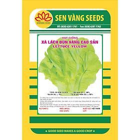 03 gói Hạt giống xà lách dún vàng cao sản giống to khỏe VTS39