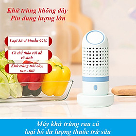 Máy khử trùng rau củ quả, thịt, cá - Loại bỏ dư lượng thuốc bảo vệ thực vật