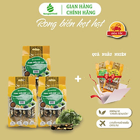 [THUẦN CHAY]Thanh rong biển kẹp hạt KHÔNG ĐƯỜNG Nonglamfood túi 95g 7 thanh | Rong biển kẹp hạt giòn rụm, ăn vặt, ăn kiêng healthy