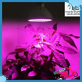  Đèn led trồng cây trong nhà 20W 220V