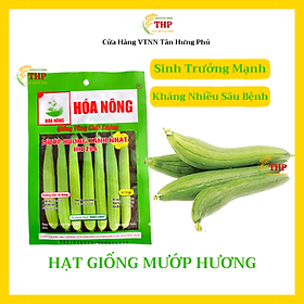 Hạt giống Mướp Hương Xanh Nhạt HN286 | Hạt Giống | gói 2gr