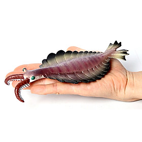 Mô hình Con Sâu Biển khổng lồ 17cm - Đồ chơi sinh vật biển Anomalocaris cho bé