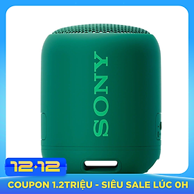 Loa Bluetooth Sony SRS-XB12 - Hàng chính hãng