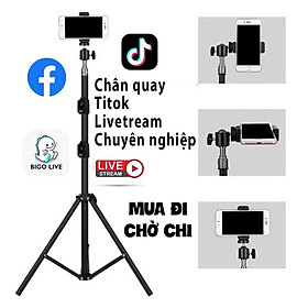 Mua Chân điện thoại livestream tiktok Chân đèn chụp ảnh  quay phim  + đầu kẹp điện thoại cao 2m1 - đầu bi Q29