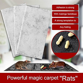 Rat  Snare Mouse Glue Traps Mice Rodent Sticky Boards Catcher Tool