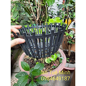 Combo 5 chậu nhựa nan phụ fi 20 đến fi 30 đủ màu