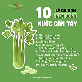 Bột cần tây nguyên chất sấy lạnh Dalahouse 150g - Hỗ trợ giảm cân - Detox thanh lọc cơ thể