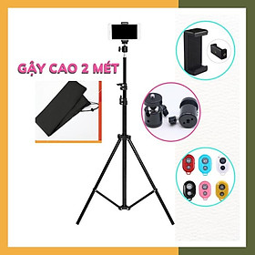 Mua Gậy livestream  quay tiktok  quay video - Tripod 3 chân cao 2 mét