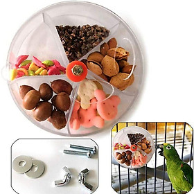Vua hình vẹt đồ chơi quay bánh xe quay chim con vẹt quay Đồ chơi tìm kiếm thức ăn chim