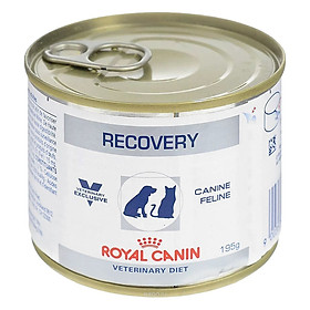 Pate Royal Canin Recovery 195g