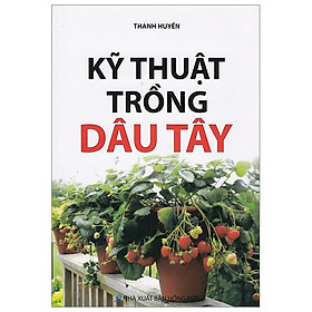 Hình ảnh Kỹ Thuật Trồng Dâu Tây