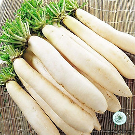 Mua 50GR Hạt Giống Củ Cải Trắng (A1.103| Z34*W64)