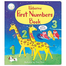 First Numbers Book