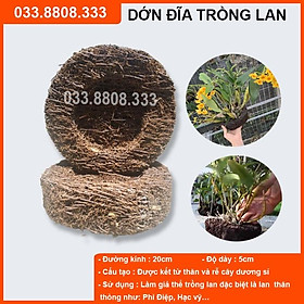 2 Chậu Dớn Đĩa Chuyên Dùng Ghép Lan Các Loại - đường kính khoảng 20cm