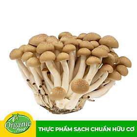 Nấm Linh Chi Nâu Hàn Quốc 150g