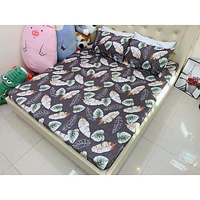 Bộ Ga Gối Cotton Giá Rẻ - Chat Shop Gửi Màu - 1m2x2m-10cm