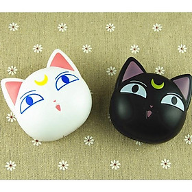 Khay đựng lens mèo trắng đen