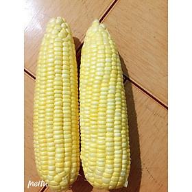 Mua Hạt giống Bắp Siêu Ngọt _ siêu ngon_kín đầu trái_ phù hợp ăn tươi hoặc nấu sữa  soup  dễ trồng  năng suất cao_ nhập khẩu Thái Lan (bắp Mỹ)