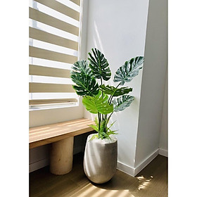 Mua Cây giả - Cây lá xẻ trang trí nhà  ban công  tiểu cảnh đẹp cao 90cm - LC3023