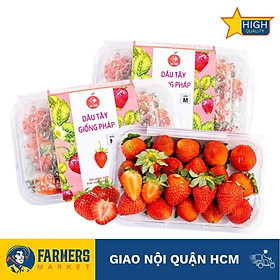 [Chỉ giao HCM] - Dây tây giống Pháp size M Vạn Thành (Hộp 250G)