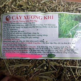 Mua Cây bìm bip (xương khỉ 1 kg)