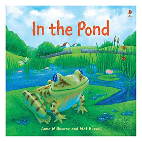 Usborne In the Pond