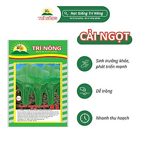 Mua Hạt Giống Cải Ngọt Trí Nông   TN12  Dễ Trồng  Dễ Chăm Sóc  Nhanh Thu Hoạch  Thời gian thu hoạch 30 ngày   Gói 20gram