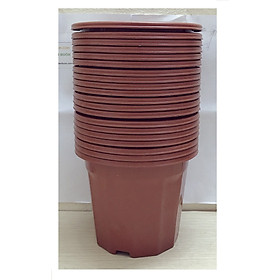 20 Chậu Nhựa Trồng Hoa, Cây Cảnh E230 CN