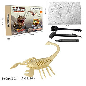 Đồ chơi khảo cổ tìm xương hỏa thạch khung long (Có bộ dụng cụ kèm theo) Nhện Cổ Đại, Bò Cạp, khủng long T-REX,  cá ăn thịt Piranha