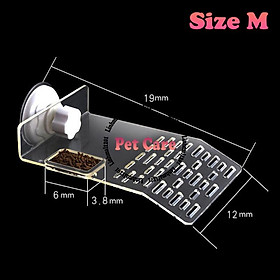 Mua Bệ phơi nắng cho rùa trong suốt