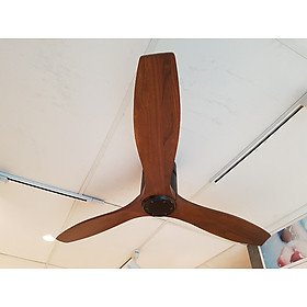 Mua Quạt trần Gigasun Arcot A003 trần thấp - Hàng Chính Hãng