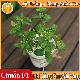 Mua Hạt giống Cây Bạc Hà  Bạc Hà Cay Peppermint ( Gói 100 Hạt ) - Nông Sản Vàng