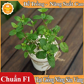 Hạt giống Cây Bạc Hà, Bạc Hà Cay Peppermint ( Gói 100 Hạt ) - Nông Sản Vàng