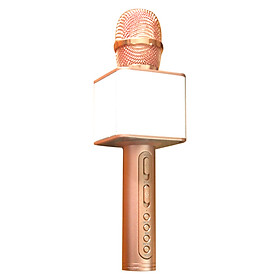 Mua Micro hát karaoke SD 08 mic hát karaoke kiêm loa bluetooth