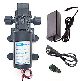 Mua Máy bơm mini áp lực 12V 45W 4L Smartpumps tự động kèm nguồn