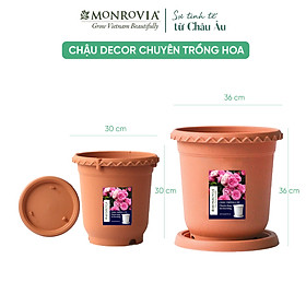 Chậu nhựa trồng cây MONROVIA thông minh, decor trang trí chuyên cho hoa hồng, cây cảnh, ban công, nhập khẩu tiêu chuẩn Châu Âu