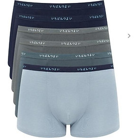 SET 10 quần lót nam dạng đùi cạp chữ (Mẫu 242)