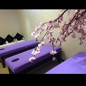 Ga bọc đệm giường spa, nối mi, phum xăm chất thun - KHOÉT LỖ THEO YÊU CẦU