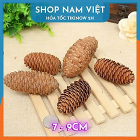 Set 5 Quả Thông Khô Đà Lạt Tự Nhiên Trang Trí Giáng Sinh