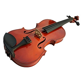 Đàn Violin Vines V10