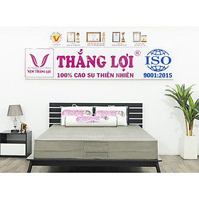 Mua NỆM CAO SU THIÊN NHIÊN  HOẠT TÍNH 100% CHO THẮNG LỢI HÀNG CHÍNH HÃNG